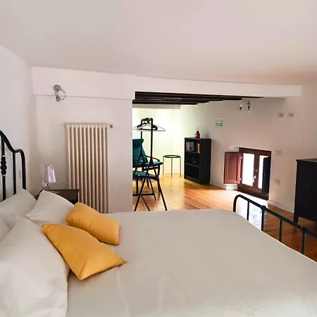 Apartment Trincu *