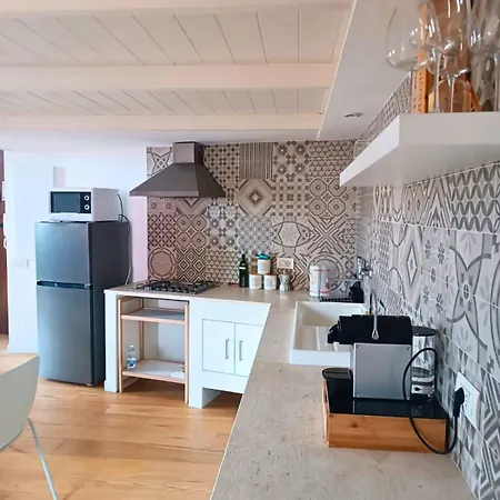 Apartment Trincu *